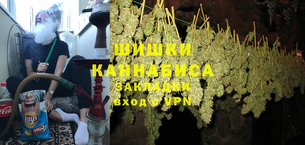 стаф Новозыбков
