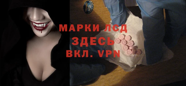 стаф Новозыбков
