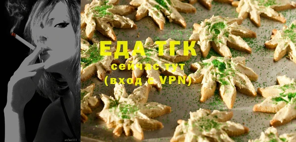 стаф Новозыбков