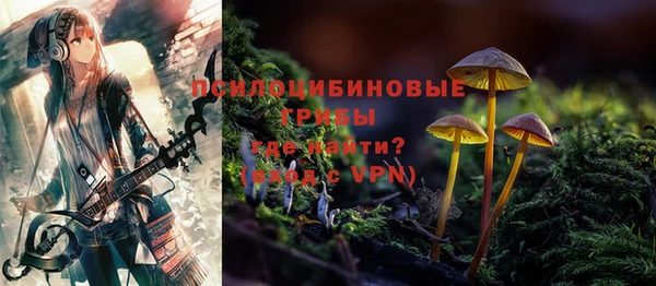 Альфа ПВП Нягань