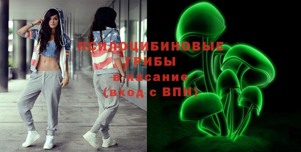 мдпв Нязепетровск