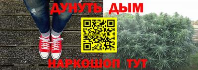 прущие грибы Ипатово