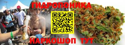 прущие грибы Ипатово