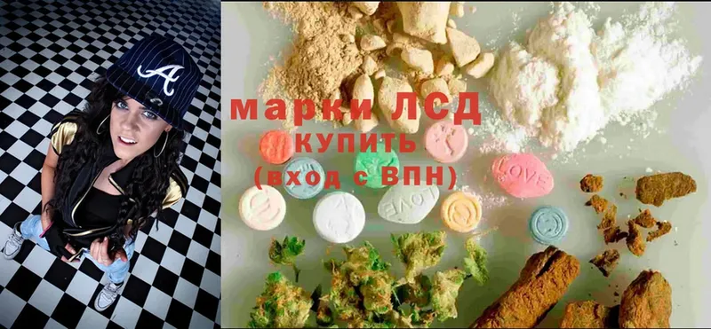 купить наркоту  Нововоронеж  ЛСД экстази ecstasy 