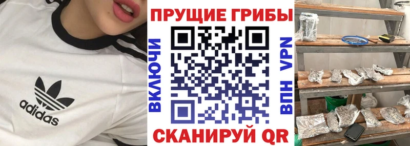 Галлюциногенные грибы Magic Shrooms  дарнет шоп  Нововоронеж 